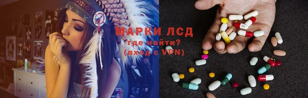 прущие грибы Балахна