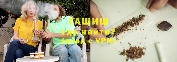 прущие грибы Балахна