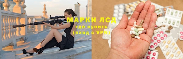 прущие грибы Балахна