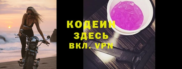 прущие грибы Балахна