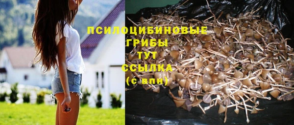 mdpv Балабаново