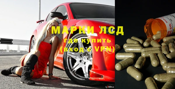 прущие грибы Балахна