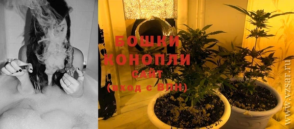 прущие грибы Балахна