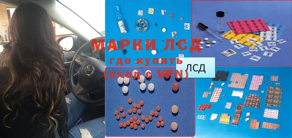 прущие грибы Балахна
