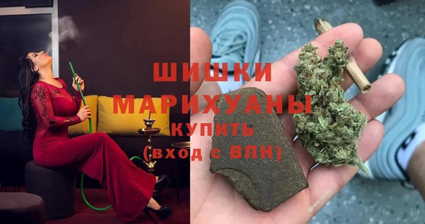 прущие грибы Балахна